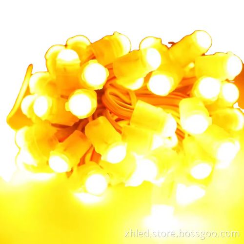 Special Price 9 cm PVC Point Lights IP67 LED Landscape Lighting